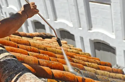Nettoyage de toitures - Poigny-la-Forêt